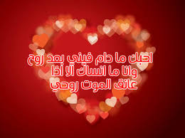 صور عيد الحب مكتوب عليها ليدي بيرد