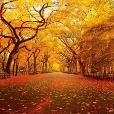 This is otoño 2021 by lali joudrier on vimeo, the home for high quality videos and the people who love them. 4l1f5zeji6xzm