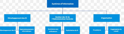 Organizational Chart Information System Chief Information
