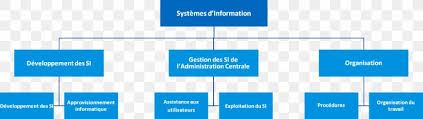 organizational chart information system chief information