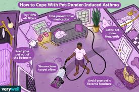The might connect your dog up to a respirator to help assist their breathing. How Pet Dander Affects Your Asthma