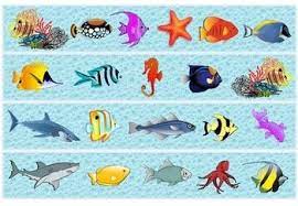 Fish Borders Classroom Decorations Fish Borders