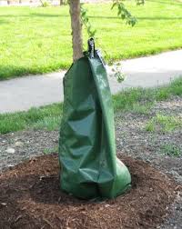 A wide variety of home tree around options are available to you, such as warranty(year), certification, and light source. Watering Young Maple Trees Maple Leaves Forever