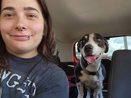 FOSTER D0GGOS READY FOR HOLIDAY HOME AMONG THEM IS THE RARE *BASSET FAUVE  DE BRETAGNE.* ***ORANGE COUNTY, CALIFORNIA *** *DECEMBER 15, 2024 *  ***MESSAGE GINA KELLY *** As many of you know