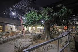 Cleveland Metroparks Zoo Considering Themed Hotel