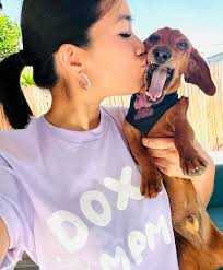 🌈💔 With heavy hearts, we share the news that one of our own, Loki of  @thedoxiesquad has crossed the rainbow bridge unexpectedly. Loki's unique  spirit, deep loyalty, and strong bond with Stephanie