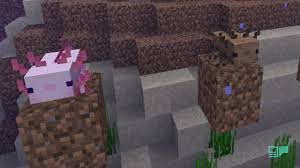 Minecraft 1.17 caves and cliffs snapshot 20w45a. Minecraft Update 1 17 Caves And Cliffs Overview Gprotal Wiki