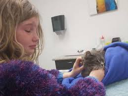 However, there are many substances within the home which are potentially poisonous to cats. Young Girl Loses Best Friend After Suspected Cat Poisoning Otago Daily Times Online News