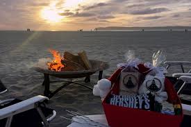 Here are the top picks of the best beaches in san diego with fire pits and bon fires. The Children Of