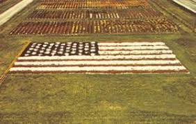 We can't wait to see you and help with all your lawn and garden needs next year! Bettendorf Iowa Ia Twin Bridges Motor Inn 1966 Roadside Postcard United States Iowa Other Postcard Hippostcard