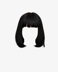 Short Black Hair With Bangs Hair Clips Hair Png Black Hair Aesthetic