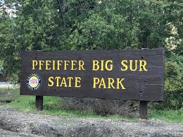But, it's bigger than the black ussuri bears and the length of the head is significantly. Big Sur State Parks Home Facebook