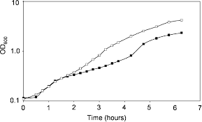 Improvement Of Lactobacillus Plantarum Aerobic Growth As Directed By Comprehensive Transcriptome Analysis Applied And Environmental Microbiology