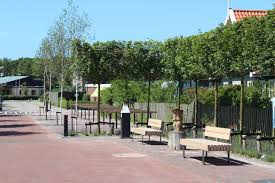 National city bank holland branch locations. Holland Texel Referenzen