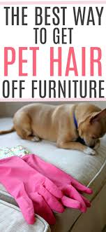 The Best Way To Get Pet Hair Off Furniture In 2020 Cleaning Pet Hair Pet Cleaning Pet Hair
