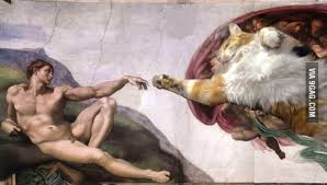 Looking for books by cat adams? The Creation Of Adam Starring My Cat 9gag