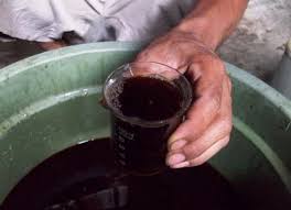 Basmi hama tanaman penyebab daun keriting dengan mudah cara organik. Cara Membuat Pestisida Organik Dan Insektisida Alami