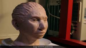 मानव की एक लाख साल पहले की विलुप्त प्रजाति को मिला चेहरा, वैज्ञानिकों ने  उनके DNA से दिया ये रूप