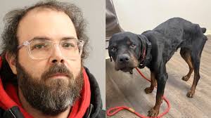 New York National Guard member killed in Texas helicopter crash