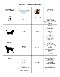 Beagle Dog Breed Information Beagle Puppy Size Chart