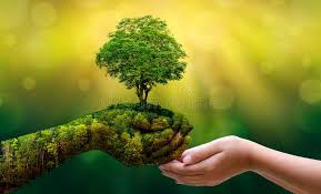 Environment earth day in the hands of trees growing seedlings. 8 618 590 Tree Photos Free Royalty Free Stock Photos From Dreamstime