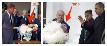 Fresh turkeys are ready to prepare. How Big Turkeys Were Then And Now