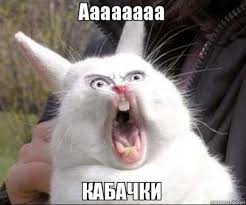 Вам кабачок нужен?" – как овощ превратился в мем и что можно из него  приготовить