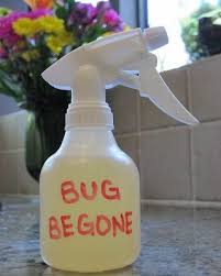 A vinegar solution if you're looking for a solution to early bed bug infestation, try using the effective method known as the vinegar solution. Home Made Bug Spray Cleaning Homemade Cleaning Hacks