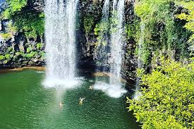 Trips made easier & more flexible. Rainforest Waterfall Experience Marriott