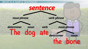A noun's a special kind of word, it's any name you ever heard, i find it quite interesting, a noun's a person, place, or thing. Simple Sentences Lesson For Kids Definition Examples Video Lesson Transcript Study Com