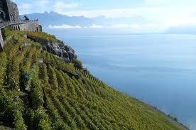 La pandémie n'épargne pas les prisons du canton. Vaud Swiss Wine