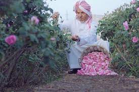 heavenly 17 arabian people taif pink images