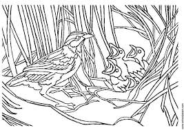 This collection includes mandalas, florals, and more. Coloring Page Bird With Nest Free Printable Coloring Pages Img 3404