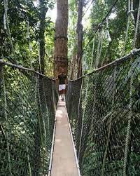 Pulau pinang adalah salah satu destinasi tumpuan untuk melancong dan bercuti. Tempat Menarik Di Penang Yang Terkini 2021 Paling Cantik