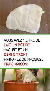 Vous Avez 1 Litre De Lait Un Pot De Yaourt Et Un Demi Citron Preparez Du Fromage Frais Maison Food Cheese Patisserie