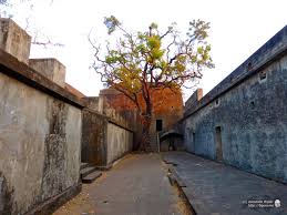Cycling to Sewri Docks and Sewri Fort