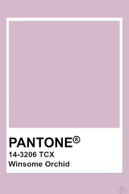 Our goal is to bring color into your space, make customers enjoy their orchids for a long time and not te be afraid to take care of them. Pantone Winsome Orchid Pantone Colour Palettes Pantone Color Pantone Palette