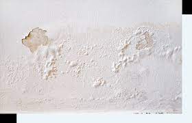 We did not find results for: Le Meilleur Traitement Des Murs Humides Avec L Assecheur De Mur