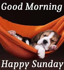 Funny ~ Good Morning ~ Images ~ Quotes - Good Morning ...