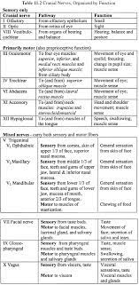 Pin On Nursing Mnemonics