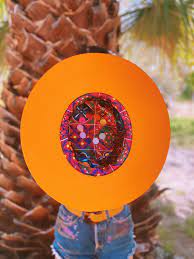 Palm Springs Superbloom Hat World Of Color Color Meanings Palm Springs