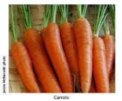 Problems If Your Carrots Come Up With Weird Shapes There Are Two Common Causes One Is When Carrot Roots Strike Rocks St Carrots Growing Carrots Health Food