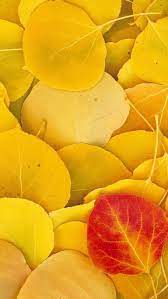 4k Ultra Hd Wallpapers Yellow Aesthetic Yellow Color Shades Of Yellow