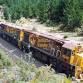 2025 Tasman Forestry Limited Reunion event image