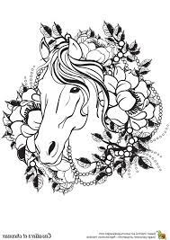 15 Inspirant De Coloriage Cavalier Image Coloriage Cheval Image Sur Bois Image Coloriage
