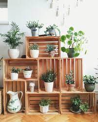 Evde Cicek Yetistirmeyi Sevenlere Ozel Dekorasyon Onerileri Dekoloji Ev Dekorasyon Fikirleri Blogu Home Deco Ev Icinde Bitki Bakimi Dekorasyon Fikirleri