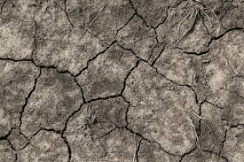 The working group i contribution to the sixth assessment report is expected to be finalized in 2021. The Last Climate Warning Heatwaves And The Ipcc Leak Resilience