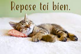 Cartes virtuelles repose toi bien - Joliecarte