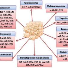 Discover the vessel's get the details of the current voyage of oruc reis including position, port calls, destination, eta and. Pdf Micrornas And Cancer Therapy From Bystanders To Major Players
