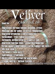 Vetiver essential oil is popular throughout india, but some people do not know the name. Uses For Vetiver Essential Oil Re Pinned Publicly By Www Dianesoils Com Vetiver Essential Oil Essential Oils Essential Oils Aromatherapy